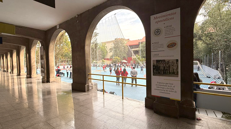 Galería San Ignacio 4