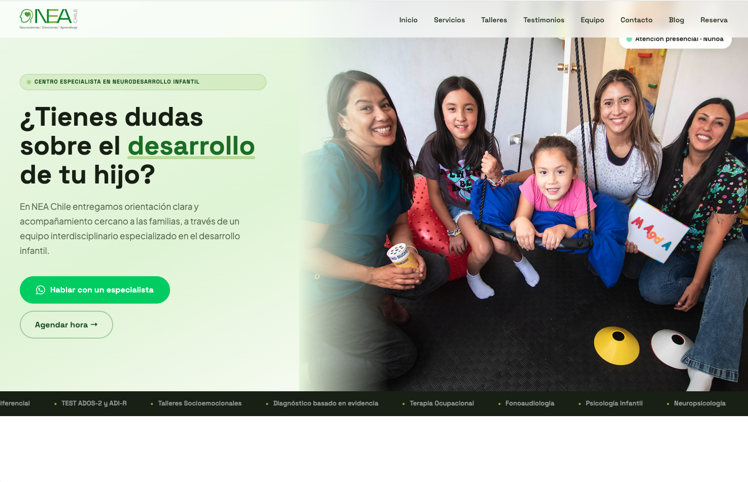 NEA Chile